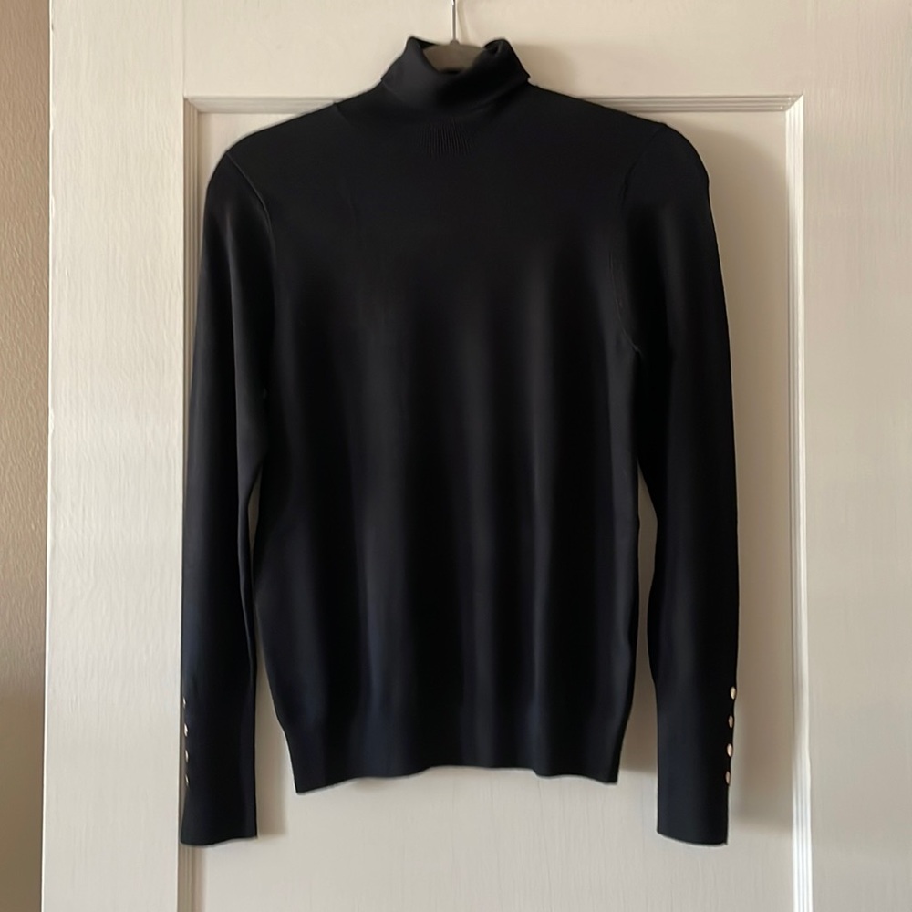 Zara Basic Knit Turtleneck